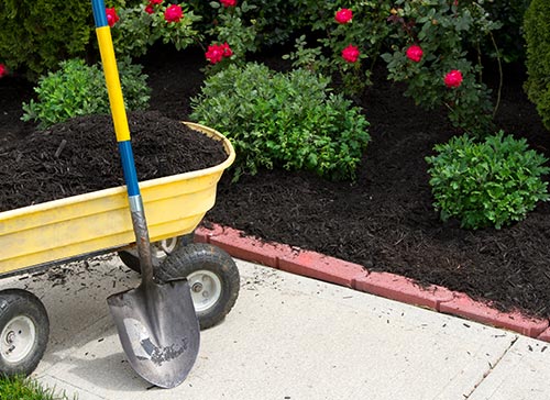 Lawn Care in Devon, PA