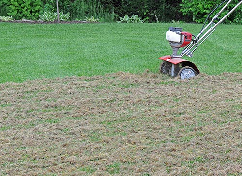 Lawn Care in Devon, PA