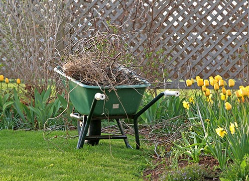 Lawn Care in Devon, PA